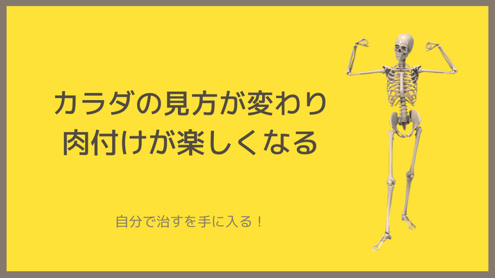 カラダを理解する軸に！カラダの見方が変わり肉付けが楽しくなる背骨コンディショニング