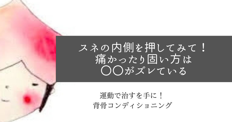 スネの内側を押してみて！痛かったり固い方は〇〇がズレている。
