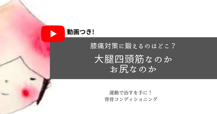 膝痛対策に鍛えるのはどこ？大腿四頭筋なのか、お尻なのか。