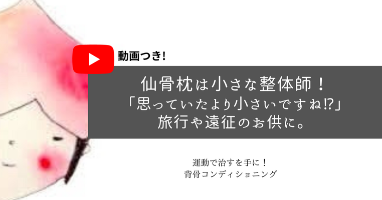 仙骨枕は小さな整体師！「思っていたより小さいですね⁉️」旅行や遠征のお供に。